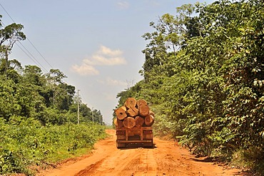 Trucks transporting timber from the Amazon rainforest, deforestation, illegal logging, Mato Grosso, Brazil, South America