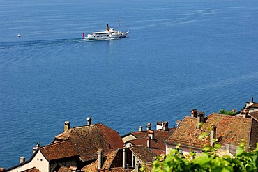 Excursion boat on Lake Geneva passing the medieval village of Saint-Saphorin, Lavaux UNESCO World Heritage region on Lake Geneva, Vaud, Switzerland, Europe