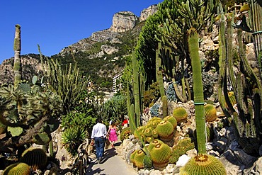 Visitors walking through the path in the Jardin Exotique de Monaco, Botanical Gardens of Monaco, Monaco, Europe