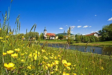 Murg River with the Parish Church of St. Laurence, Gaggenau, Bad Rotenfels, Black Forest, bathen-Wuerttemberg, Germany, Europe