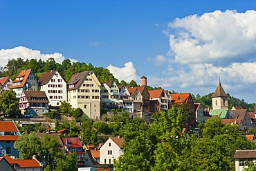 Cityscape, Horb am Neckar, Black Forest, Baden-Wuerttemberg, Germany, Europe