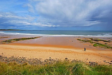 Embleton Bay, Northumberland, England, United Kingdom, Europe