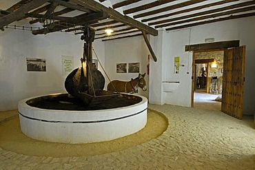 Prensa de Alori, Museo de la cultura del Olivo, museum on the cultural history of the olive tree, Puente del Obispo, Baeza, province of Jaen, Andalusia, Spain, Europe