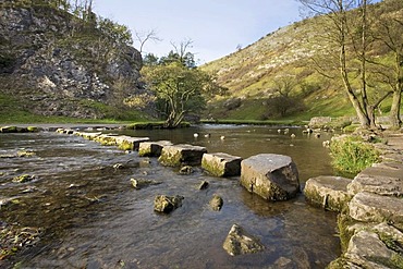 Dovedale stepping stones, Derbyshire, England, United Kingdom, Europe