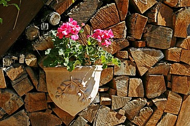 Woodpile with flowers, Les Eyzies, Dordogne, Aquitaine, France, Europe