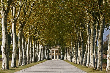 Chateau Margaux entrance, Sycamore trees, famous vineyard, Medoc, Bordeaux, Aquitaine, France, Europe