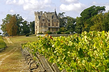 Chateau Pichon-Longueville, in vineyard, Medoc, Aquitaine, France, Europe