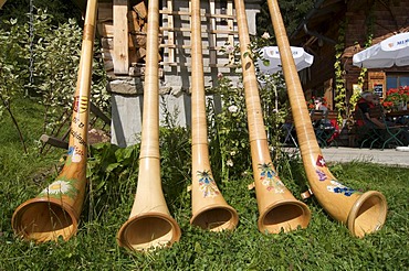 Alphorns at Max's Huette alpine hut at Mittelberg, Kleinwalsertal, Allgaeu, Vorarlberg, Austria, Europe