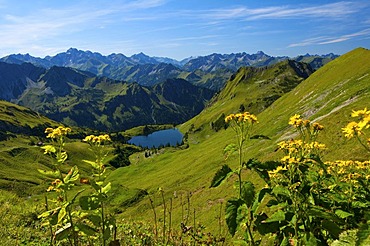 Seealp Lake, Laufbacher Eck-Weg hiking trail, Nebelhorn Mountain, Oberstdorf, Allgaeu, Bavaria, Germany, Europe