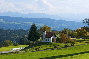 St. Hubertus Kapelle chapel in Forst near Scheidegg, Allgaeu, Bavaria, Germany, Europe