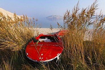 Red boat in the reeds, Rucica bay at Metajna, Pag island, Dalmatia, Adriatic Sea, Croatia, Europe