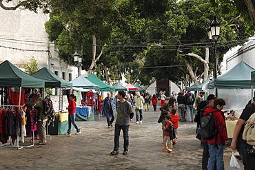 Market, Plaza Leon y Castillo, laurel trees, Haria, Lanzarote, Canary Islands, Spain, Europe