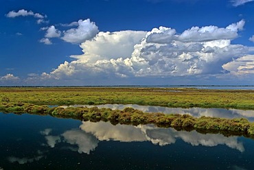 Landscape at the Etang de l'Imperial east of Saintes-Maries-de-la-Mer, Camargue nature reserve, Provence, southern France, France, Europe