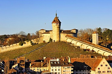 View of Munot fortress above the historic town of Schaffhausen, canton of Schaffhausen, Switzerland, Europe