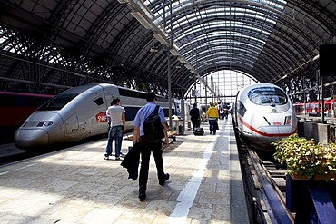 An ICE train of the Deutsche Bundesbahn German Federal Railways and a SNCF train of the French Railways standing in the Frankfurt train station, Frankfurt am Main, Hesse, Germany, Europe