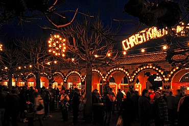 Evening lights at the Christmas market in the castle park, Goethe town Bad Lauchstaedt, Saxony-Anhalt, Germany, Europe