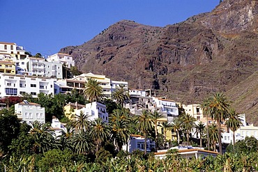 Houses and palm trees, mountain slope near the village of La Calera, Valle Gran Rey, La Gomera, Canary Islands, Spain, Europe