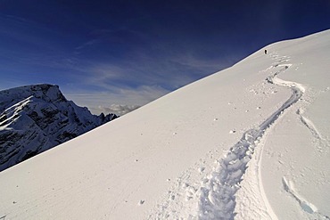 Ski Tour, Mt. Grosser Jaufen, Pragser Tal, Hochpustertal, South Tyrol, Italy, Europe