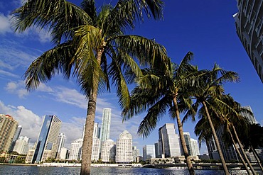 Brickell Key Drive, Downtown Miami, Florida, USA