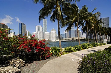 Brickell Key Drive, Downtown Miami, Florida, USA