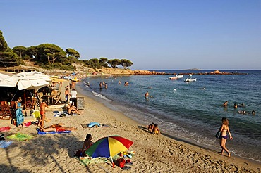 Palombaggia beach, Corsica, France, Europe