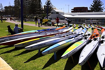 Surf skis on grass area on Scarborough Beach foreshore, Perth, Western Australia, Australia