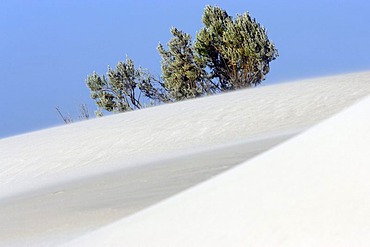 Coastal white sand dunes, Western Australia, Australia