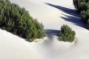 Coastal white sand dunes, Western Australia, Australia