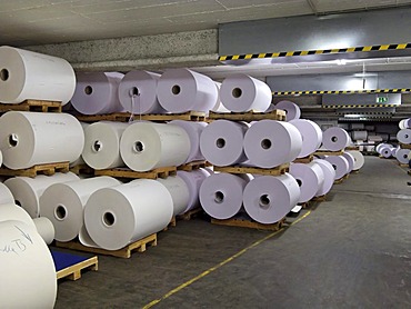 Large paper rolls in Gmund paper manufacturing warehouse, Gmund, Germany, Europe