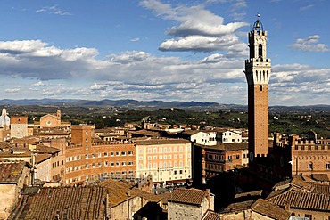 Torre di Mangia tower, Campo, Siena, Tuscany, Italy, Europe