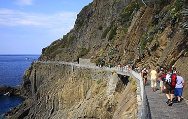 Trail Via dell 'Amore at Riomaggiore, Cinque Terre region, Liguria, Italy, Europe