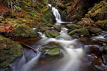 Falkenauer waterfall in November in the Black Forest, Baden-Wuerttemberg, Germany, Europe