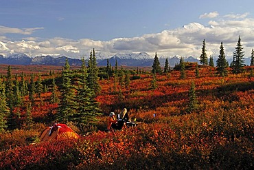 Camping on the Wonderlake Campground, Alaska Range, Mt McKinley in the back, Denali National Park, Alaska