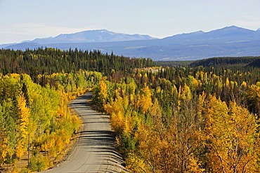 Road in the Chilcotin Country between Williams Lake and the coastal mountains, leading to Bella Coola, British Columbia, Canada