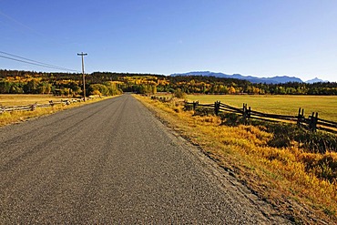 Road in the Chilcotin Country between Williams Lake and the coastal mountains, leading to Bella Coola, British Columbia, Canada