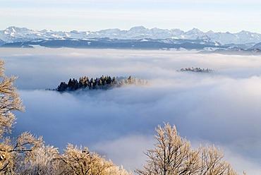 Clouds on Mt. Uetliberg near Zurich, panorama of the Swiss Alps, Switzerland, Europe