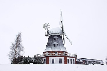 Snow covered windmill and restaurant "Kluetzer Muehle" in winter, smock mill with wind rose, Kluetz, Kluetzer Winkel, Mecklenburg-Western Pomerania, Germany, Europe