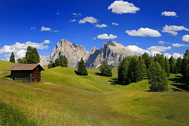 Seiser Alm Alpine meadow, view of the Langkofel mountain group, Dolomites, South Tyrol, Italy, Europe