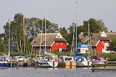 Yachts on the Darss peninsula in the marina of Ahrenshoop-Althagen in front of typical boathouses, Mecklenburg-Western Pomerania, Germany, Europe