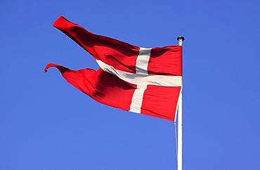 Danish flag Dannebrog