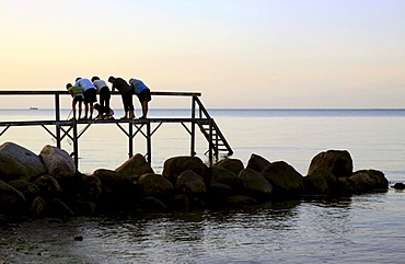 Jetty on the beach with family in the evening twilight, Funen, Fyn, Denmark, Europe