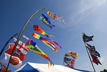 Kites and flags, International Kite Festival, Bristol, England, United Kingdom, Europe