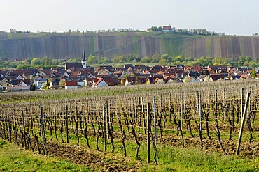 Nordheim with Vogelsburg Monastery, Volkach, Main River loop, Lower Franconia, Bavaria, Germany, Europe