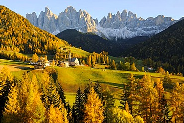 St. Magdalena church with Odle massif, Valle di Funes valley, Dolomites, South Tyrol, Italy, Europe