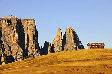 Cabin on the Seiser Alm mountain pasture with Mt. Schlern, Dolomites, South Tyrol, Italy, Europe