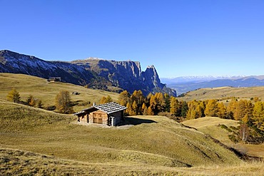 Seiser Alm mountain pasture with Mt. Schlern, Dolomites, South Tyrol, Italy, Europe