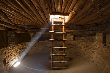 Ladder in a Kiva room for religious ceremonies, Spruce Tree House, Anasazi Native American ruins, Mesa Verde National Park, Colorado, America, United States