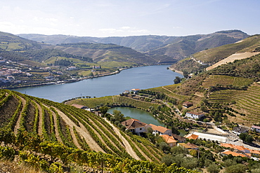 Covelinhas village, Peso da Regua, Douro, Portugal, Europe