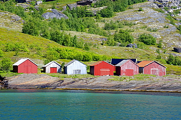Houses at the Holandfjord, Norway, Scandinavia, Europe