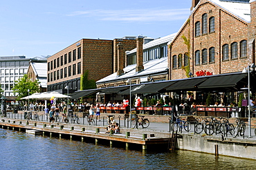 Nedre Elvehavn, Trondheim, Norway, Scandinavia, Europe